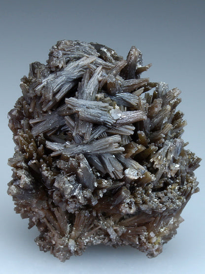 CC1891 specimen image