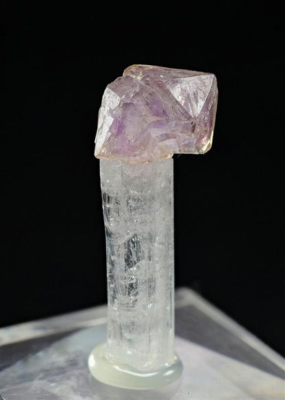 CC18910 specimen image