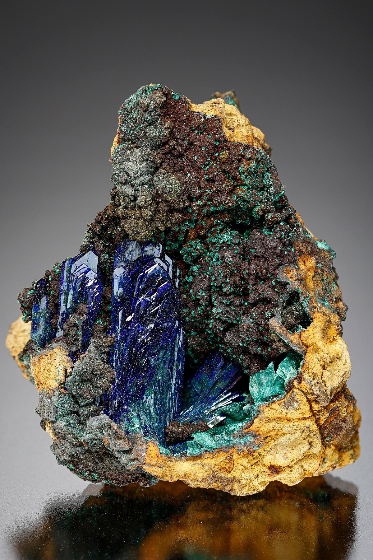 CC18933 specimen image