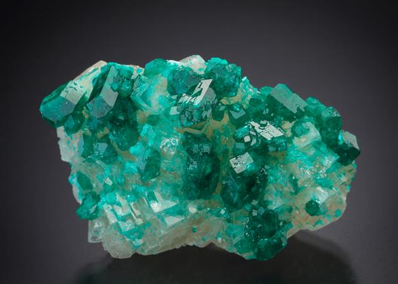 CC18935 specimen image
