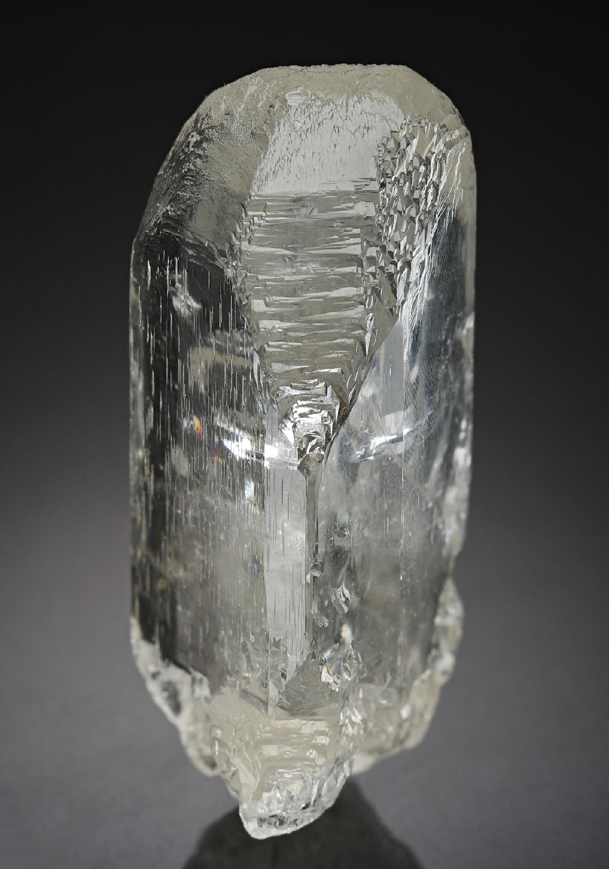 CC18940 specimen image