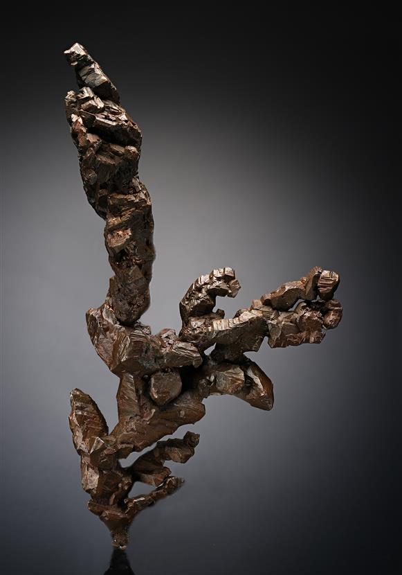 CC18944 specimen image