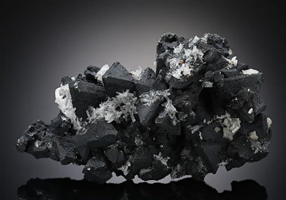 CC18950 specimen image