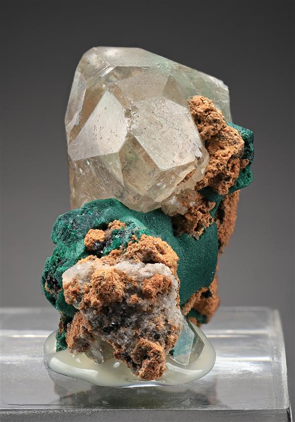 CC18952 specimen image