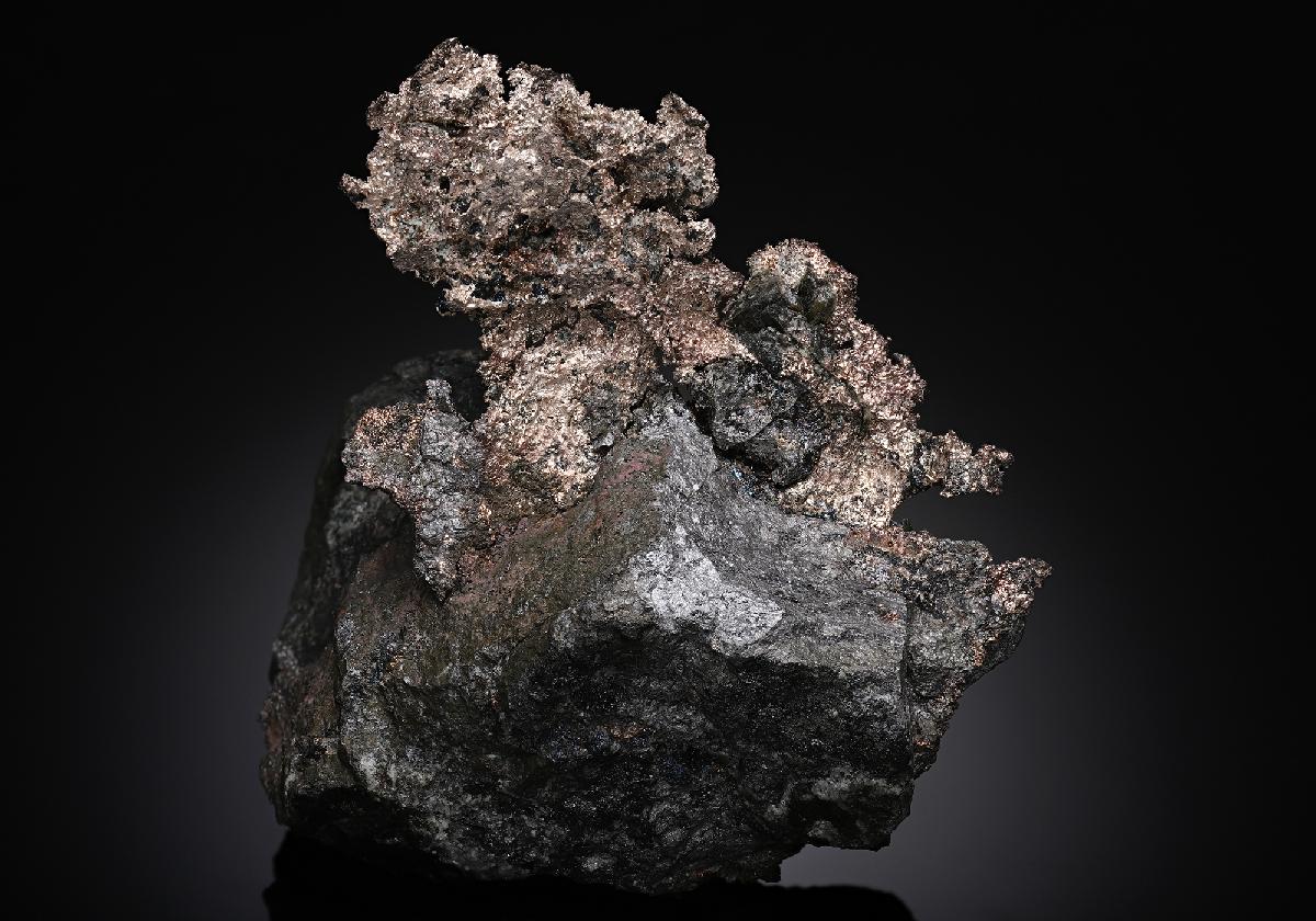 CC18964 specimen image