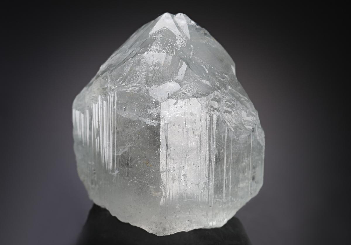 CC18969 specimen image