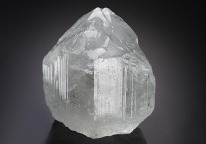 CC18969 specimen image