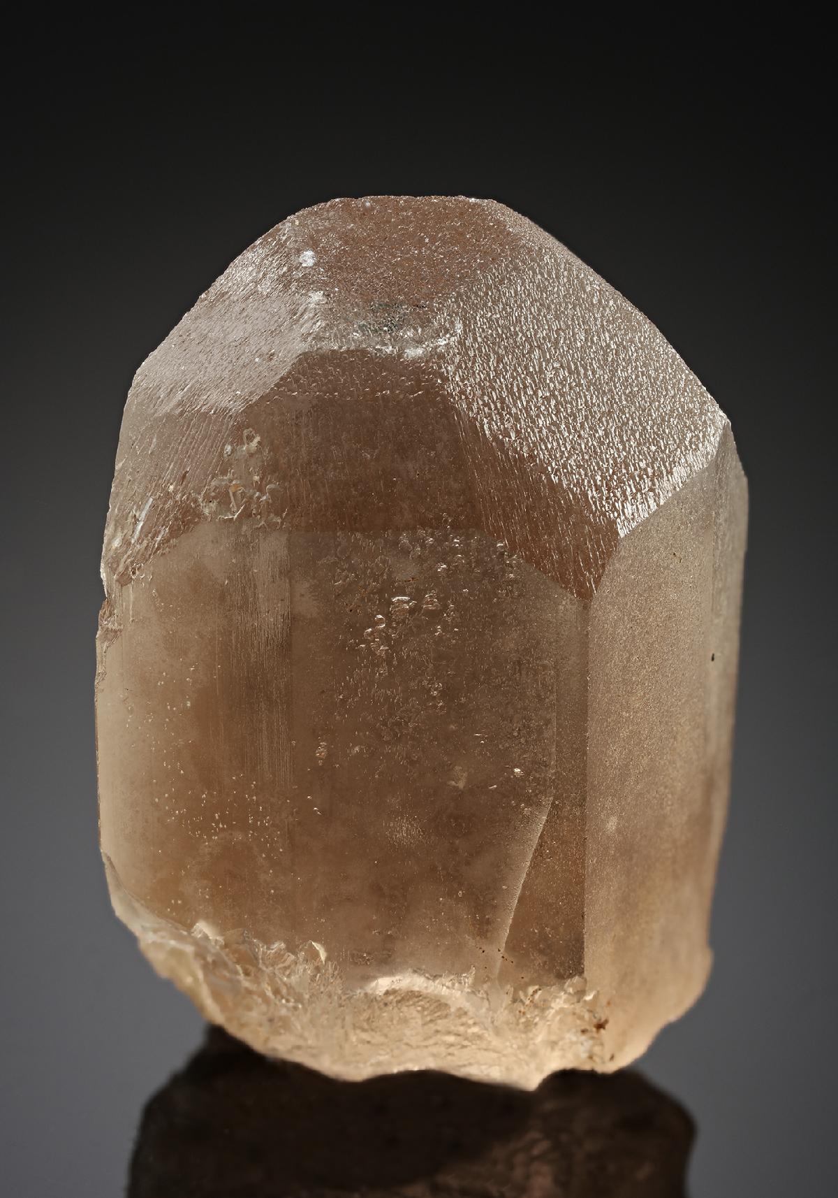 CC18970 specimen image