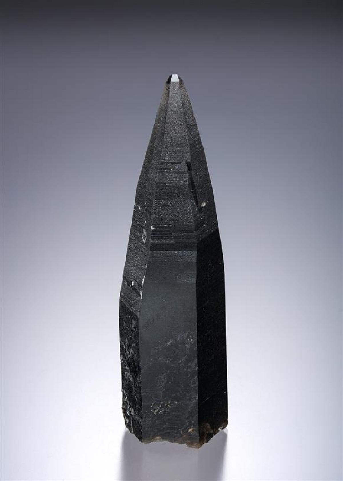 CC18975 specimen image