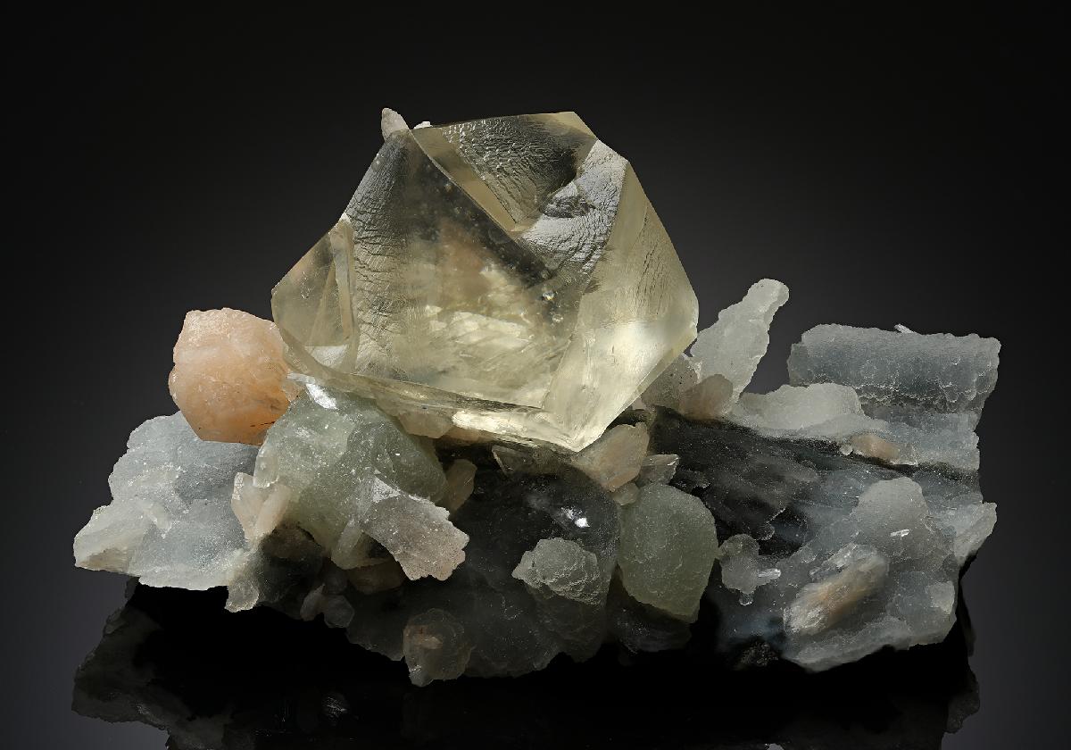 CC18977 specimen image