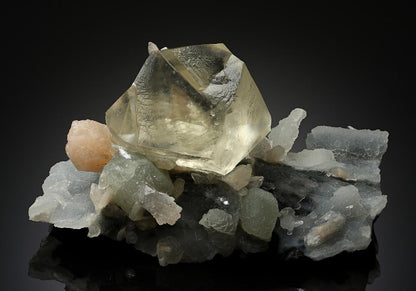 CC18977 specimen image