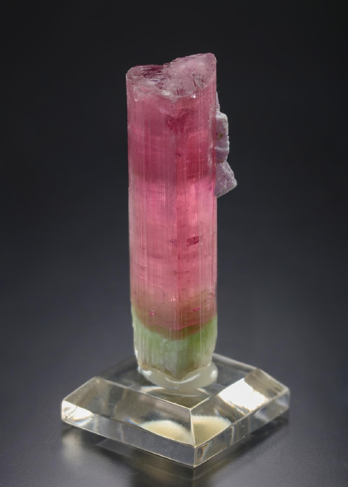 CC18986 specimen image