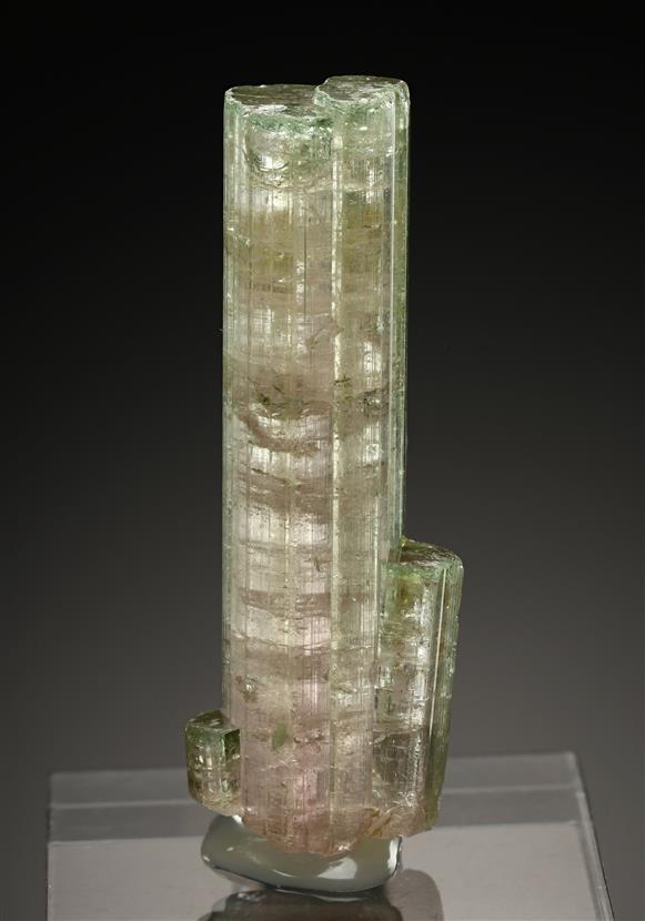 CC18990 specimen image
