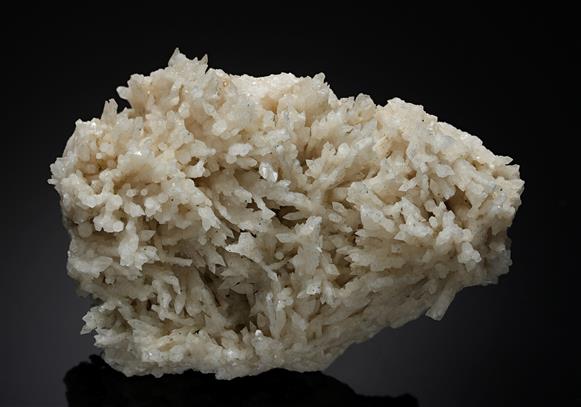 CC19007 specimen image