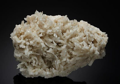 CC19007 specimen image