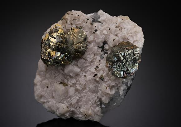 CC19009 specimen image
