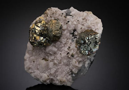 CC19009 specimen image