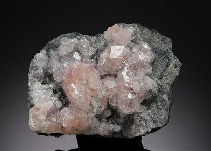 CC19012 specimen image