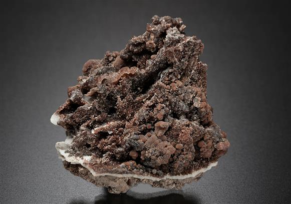 CC19016 specimen image