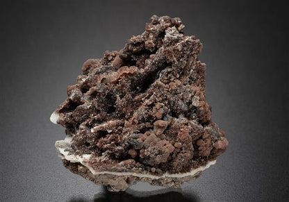 CC19016 specimen image