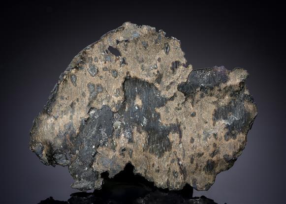 CC19018 specimen image