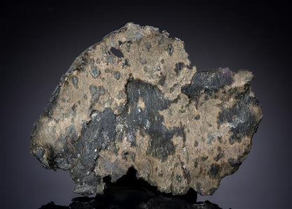 CC19018 specimen image