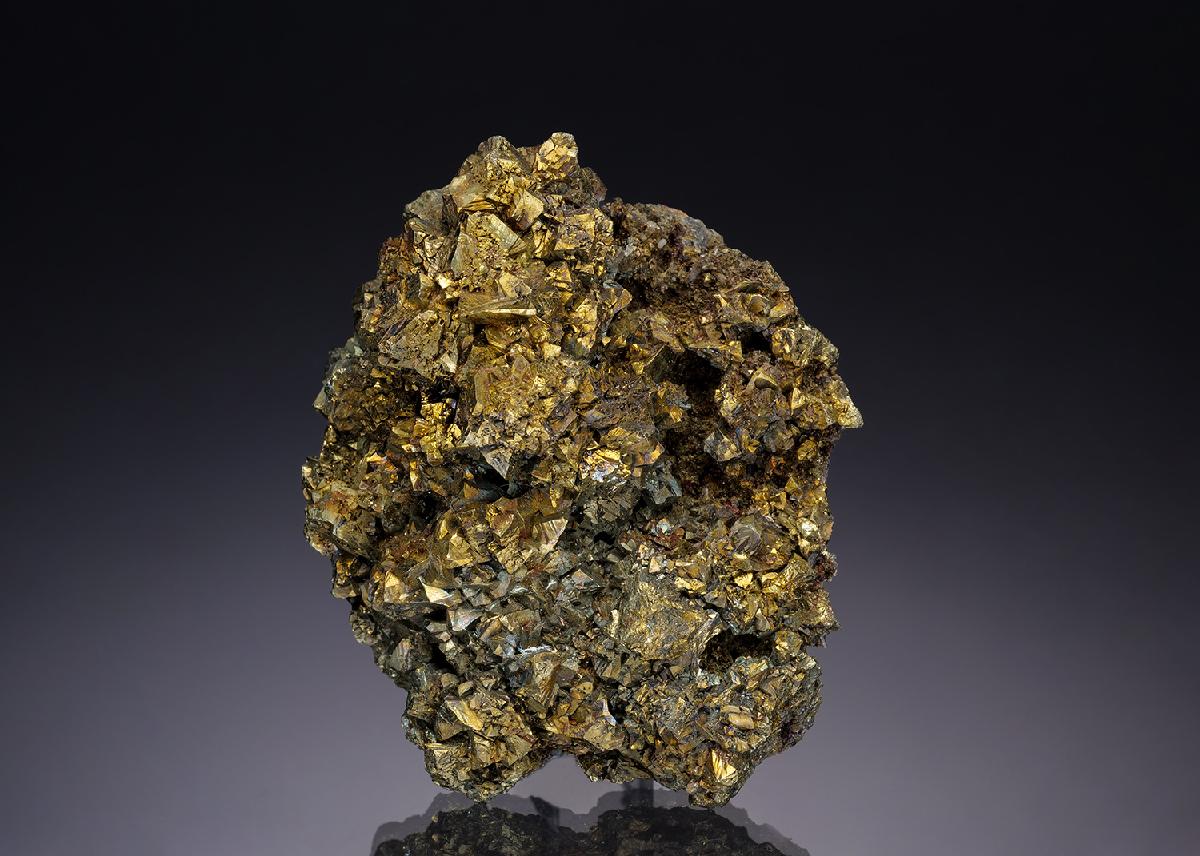 CC19024 specimen image