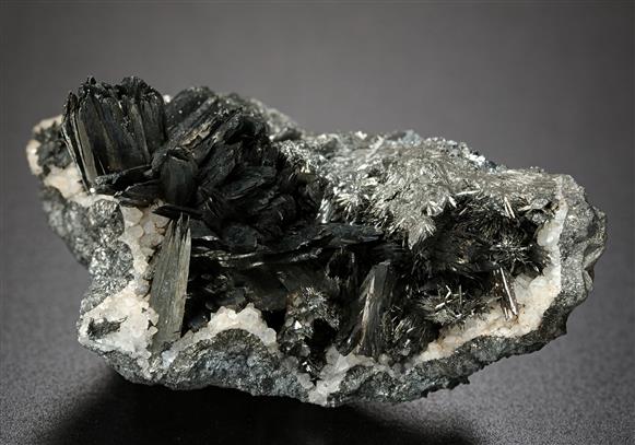 CC19025 specimen image