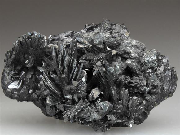 CC1902 specimen image
