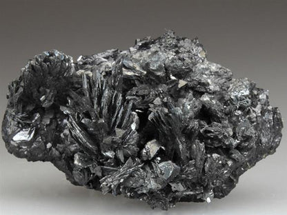 CC1902 specimen image