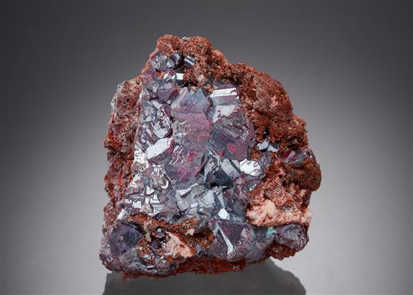 CC19036 specimen image