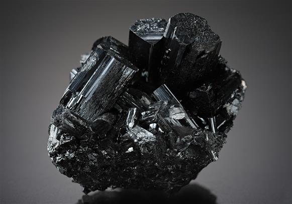 CC19038 specimen image
