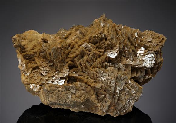 CC19044 specimen image