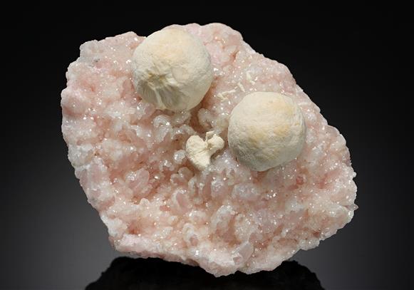 CC19050 specimen image
