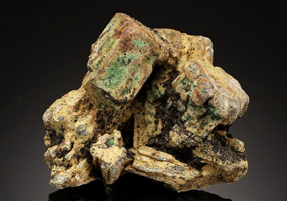 CC19053 specimen image