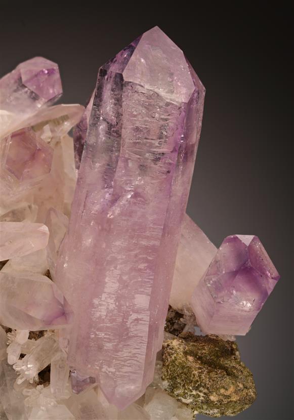 CC19062 specimen image