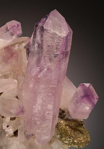CC19062 specimen image