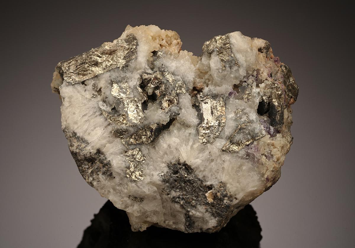 CC19067 specimen image