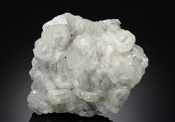 CC19068 specimen image