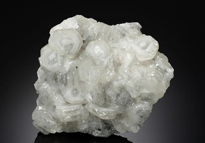 CC19068 specimen image