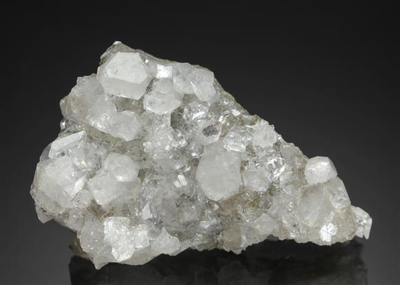 CC19079 specimen image