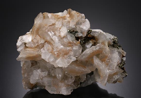 CC19081 specimen image