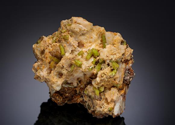 CC19088 specimen image