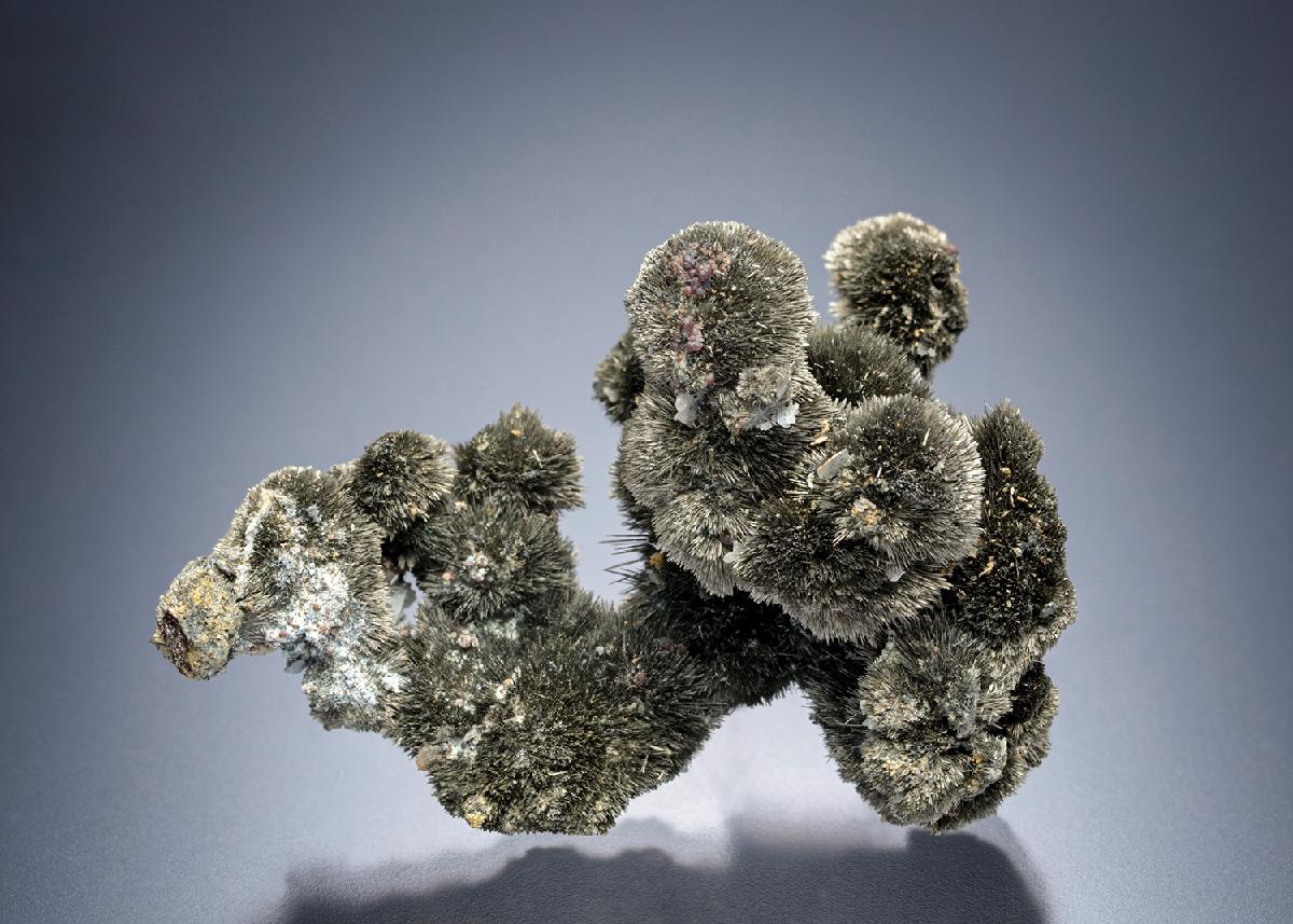 CC19102 specimen image
