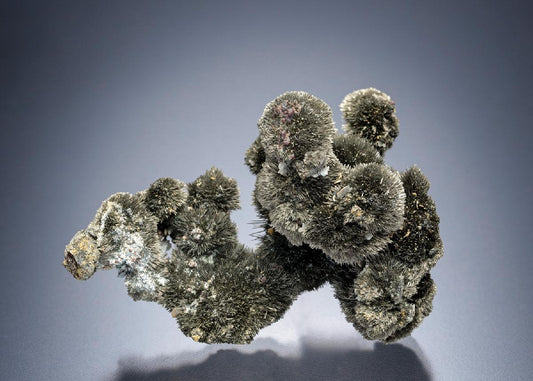 CC19102 specimen image