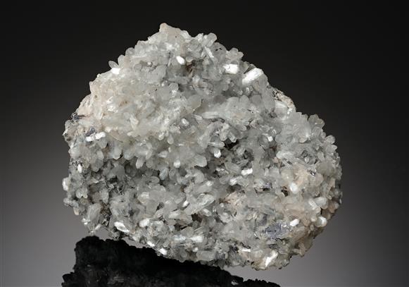 CC19104 specimen image