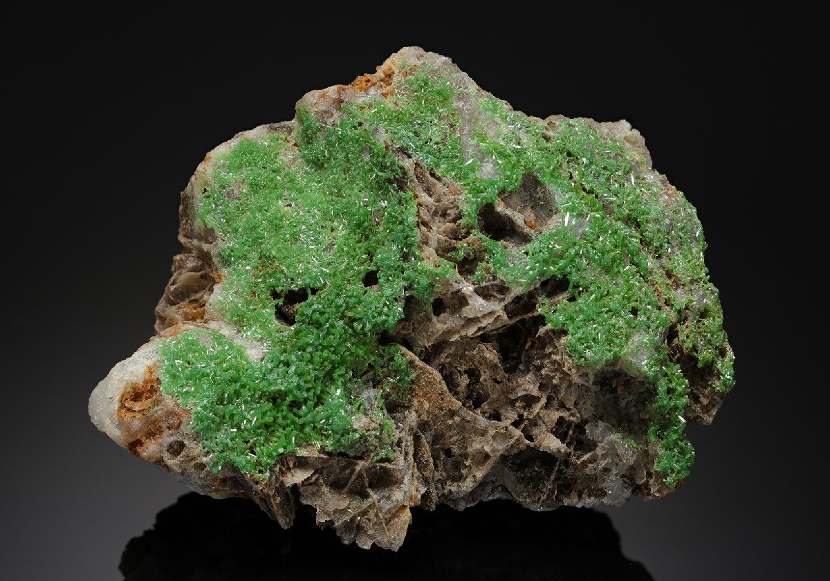 CC19106 specimen image