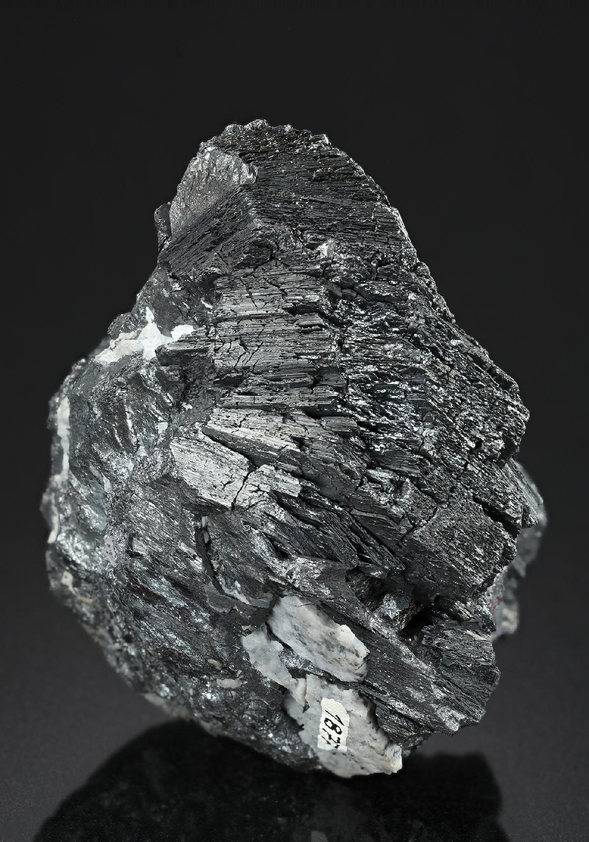 CC19113 specimen image