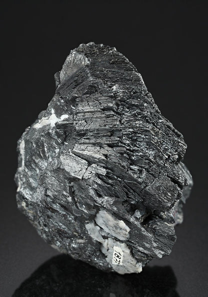 CC19113 specimen image