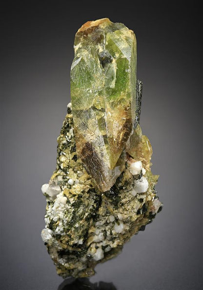 CC19114 specimen image